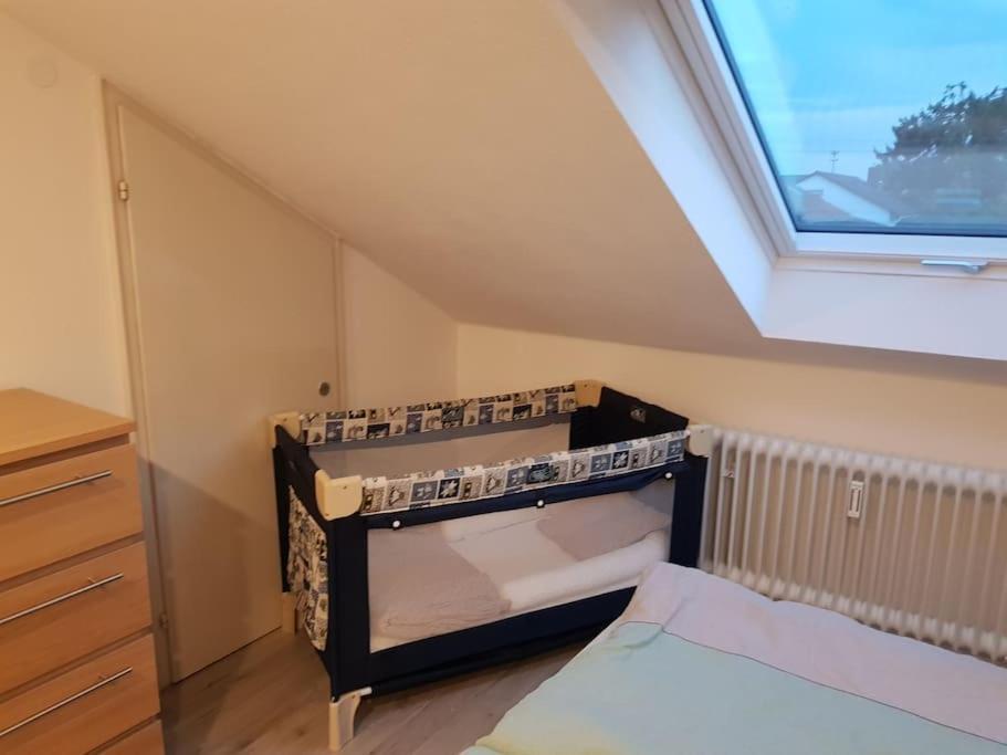 Gemuetliche Wohnung Bei Bad Waldsee Mit Balkon Exterior photo